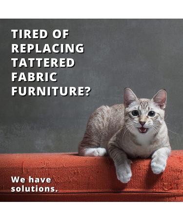 Professional Pet Nail Clippers for Small Animals - Best Cat & Dog Claw Trimmer - Home Grooming Kit with Ebook Guide - Buy Online on GoSupps.com