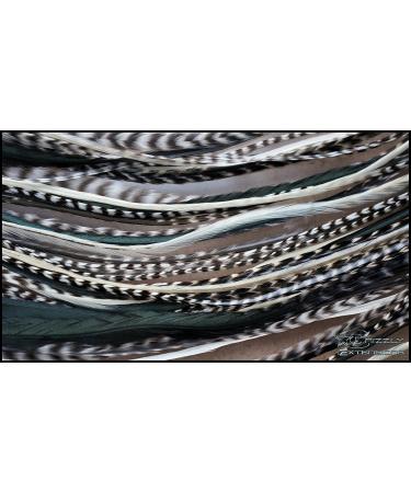 Buy Grizzly Extensions EasyIn Big Black and White Feather Extensions | International Shipping Available - Buy Online on GoSupps.com