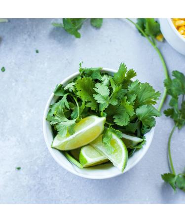 Dried Organic Parsley Rubbed Organic Parsley Parsley from Certified Organic Farming Parsley Laboratory-Tested 100% Pure and Natural (100 GR) - Buy Online on GoSupps.com