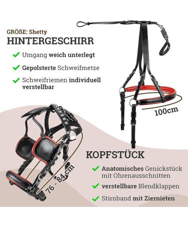 Esposita Professional Carriage Dishes for Shetland Pony & Horse | Mini to XL Sizes in Black & Red - Buy Online on GoSupps.com