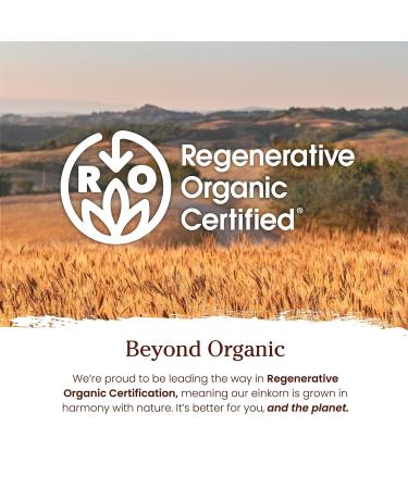 Jovial Einkorn Baking Flour | 100% Organic Einkorn All Purpose Flour | High Protein | Non-GMO | USDA Certified Organic | Delicious Taste | Product of Italy | 32 oz (2 Pack) - Buy Online on GoSupps.com