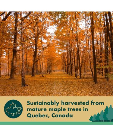 St. Lawrence Gold Organic Maple Syrup 500ml - Canadian Amber 660g - Sugar Syrup Alternative for Cocktails, Coffees, Pancakes, Waffles - BBQ Glaze - Gluten-Free, Vegan - Pack of 1 - Buy Online on GoSupps.com