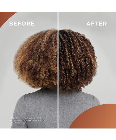 Clairol Professional Beautiful Collection Semi-Permanent Hair Color 8D Light Ash Brown - Buy Online on GoSupps.com