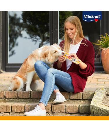 Buy Vitakraft Salmon Dog Snacks - Fish Stick Treats 50 Pack (15g Each) | Premium Quality for Happy Dogs - International Shipping Available - Buy Online on GoSupps.com