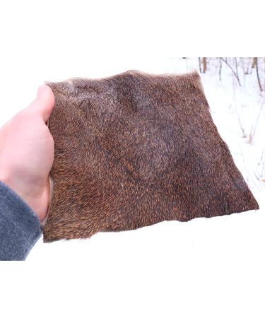 DogBone RealHide Deer Hide Drag for Tracking Dog Training - Buy Online on GoSupps.com