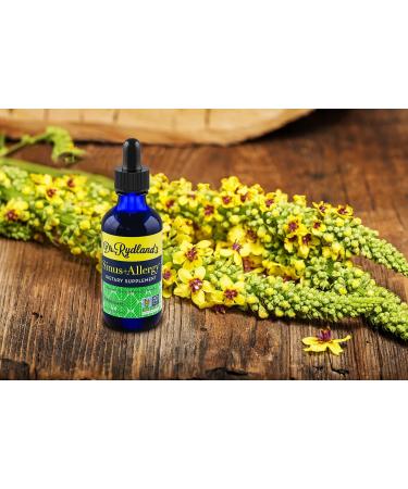 Dr. Rydland's Herbal Sinus & Allergy Relief - 2oz Liquid Formula - Buy Online on GoSupps.com