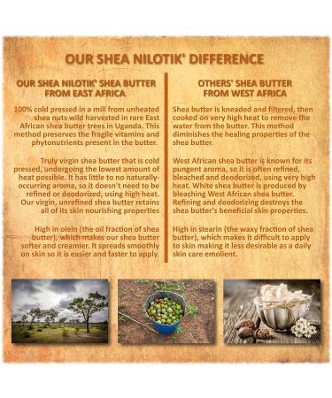 Shea Terra Organics 100% Organic Cold-Pressed Virgin Shea Butter - Ghana Gold 6 oz | Natural Skin Cream for Dry, Itchy Skin, Stretch Marks, Psoriasis, Eczema - Buy Online on GoSupps.com