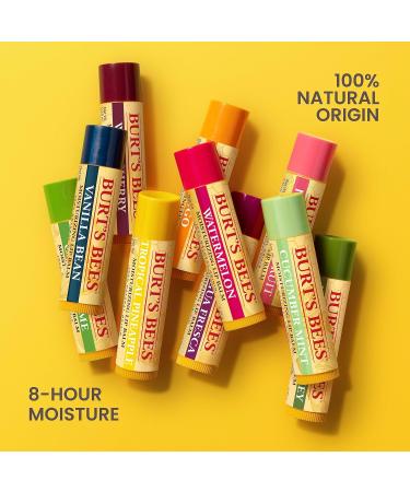 Burt's Bees Vanilla Bean Lip Balm - Natural Moisturizer with Beeswax | Tint-Free Conditioning Lip Treatment - 0.15 oz - Buy Online on GoSupps.com