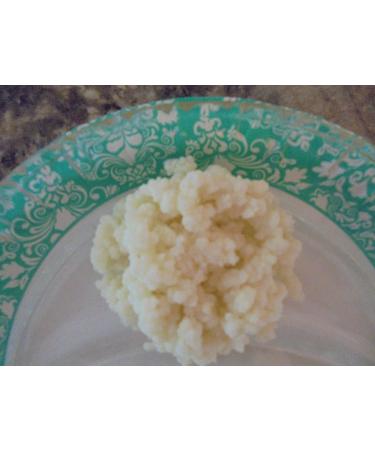 Organic Raw Milk Kefir Grains - 1/4 Cup (4 tbsp) | Probiotic Cultures - Buy Online on GoSupps.com