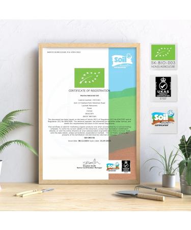 Organic Green Coffee Bean Extract 13500mg - Chlorogenic Acid Rich Coffea Arabica - 90 Vegan Capsules - Non-GMO & Additive-Free - Buy Online on GoSupps.com