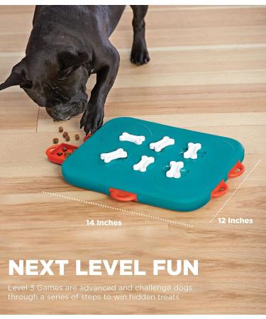 Nina Ottosson by Outward Hound MultiPuzzle Interactive Dog Treat Puzzle Toy Expert Level + Nina Ottosson by Outward Hound Dog Casino Interactive Treat Puzzle Dog Toy Advanced - Buy Online on GoSupps.com