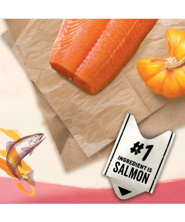 Beyond Superfood Natural Dry Dog Food Salmon Egg Pumpkin 10.2 kg Bag & Wet Dog Food in Gravy Variety Pack - 354 g x 6 Can (6 Pack) 10.2 kg Bag (1 Pack) Dog Food + Wet Dog Food 354 g x 6 Can - Buy Online on GoSupps.com