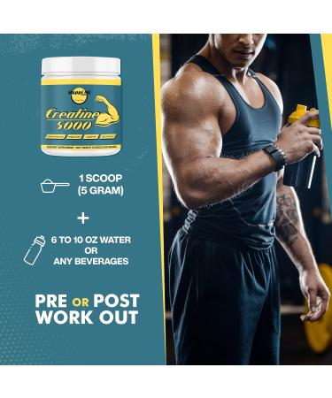 Micronized Creatine Monohydrate Powder - Unflavored 300g | Enhance Performance & Recovery | 5000mg per Serving | 60 Servings - Buy Online on GoSupps.com