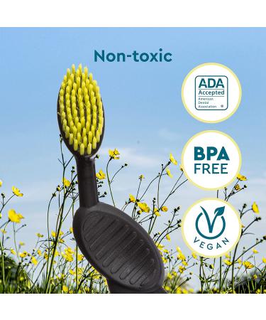 RADIUS Flex Brush Soft Right Hand Pink Toothbrush - Gentle Oral Care - Buy Online on GoSupps.com