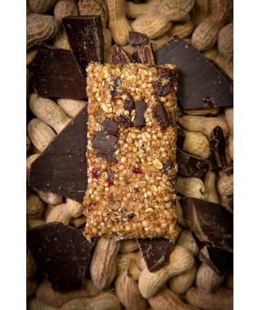 Tahoe Trail Bar - Plant-Based High Protein Energy Snacks - Gluten-Free Vegan Non-GMO - Peanut Butter Chocolate 12 Count - Buy Online on GoSupps.com