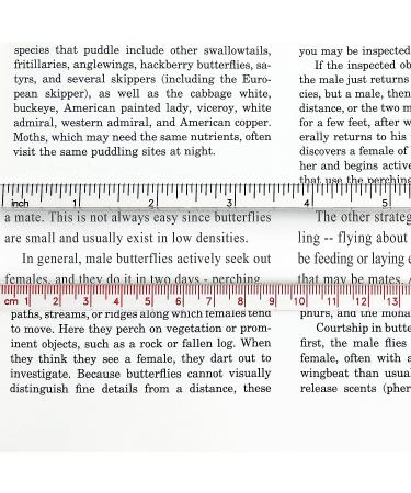 Carson 8 Bar Ruler Magnifier with 1.5X Magnification - Inch and Centimeter Markings (MR-65) - Buy Online on GoSupps.com