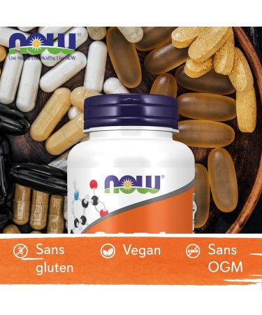 Now Foods GABA 500 mg 100 Vegetable Capsules Laboratory Tested Vitamin B6 Gluten Free Soy Free Vegetarian - Buy Online on GoSupps.com