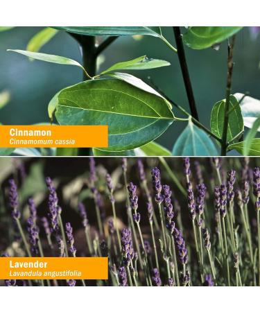 Herb Pharm Gastro Calm Liquid Herbal Formula - 1 Ounce - Occasional Gas Relief - Buy Online on GoSupps.com