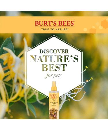 Burt's Bees Natural Itch Soothing Spray for Dogs | Anti-Itch, Cruelty-Free, 10 oz - Made in USA - Buy Online on GoSupps.com