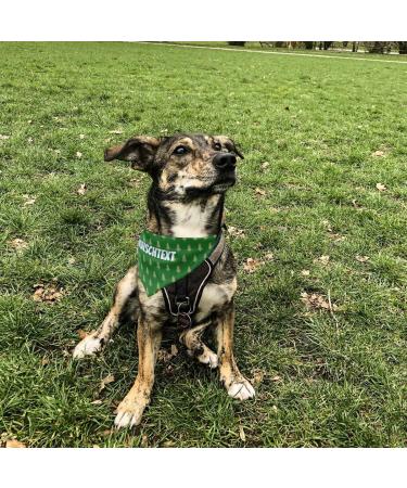 Buy printplanet Personalized Dog Scarf - Custom Text - Trees Green - Size S - Stylish & Unique Dog Accessories - Buy Online on GoSupps.com