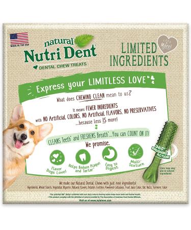 Nylabone Nutri Dent Natural Dental Fresh Breath Chew Treats Mini (160 Count) - Buy Online on GoSupps.com