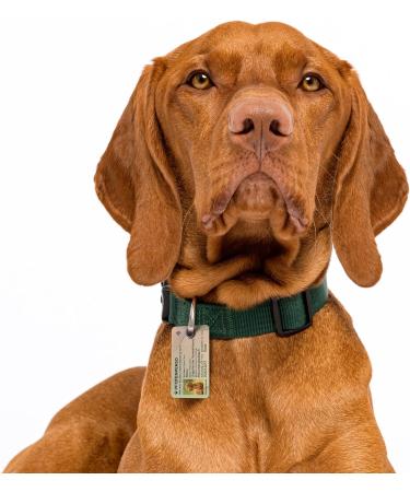 Personalized Dog ID Card with NFC Chip - Custom Address Tag & QR Code | Pfotenperso - Buy Online on GoSupps.com