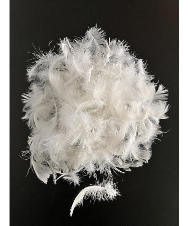 ROSE FEATHER Bulk Goose Down 4lb - Hypoallergenic Pillow Filling for Repair & Restuff - Ideal for Couch Cushions, Comforters, Jackets - Premium White Goose Down Stuffing 5/95 Ratio - 1800g DIY Fill - Buy Online on GoSupps.com