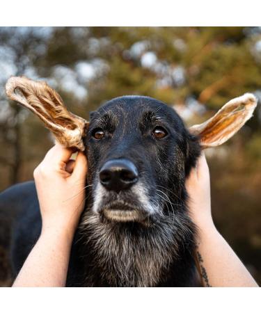 Bellfor Lamb Ears with Fur Dog Treat Natural Healthy and is made without additives or flavor enhancers 250 g - Buy Online on GoSupps.com