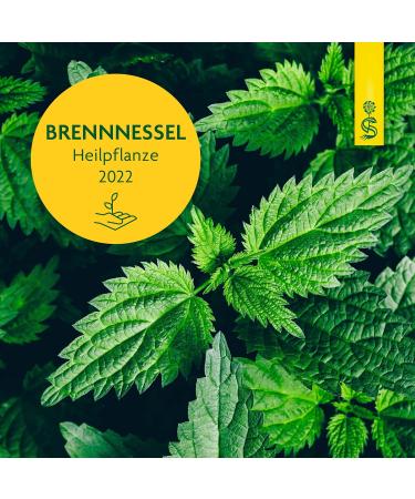 Schoenenberger Nettle Juice 600 ml - Natural Herbal Remedy for Joint Pain Relief - 3 x 200 ml Glass Bottles - Buy Organic Medicinal Plant Juice Online - Buy Online on GoSupps.com