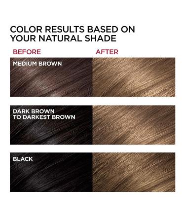 L'Oreal Paris Superior Preference UL61 Ultra Light Ash Brown Hair Color - 1 Pack - Buy Online on GoSupps.com