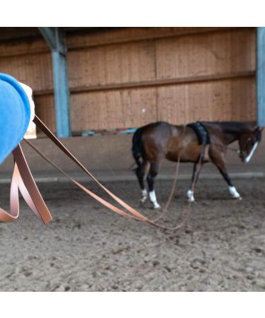 Buy Organic Biothane Double Lunge Leash for Horses - 16-18m 16mm Wide - 15 Colors - Ideal for Equestrian Sports - Buy Online on GoSupps.com