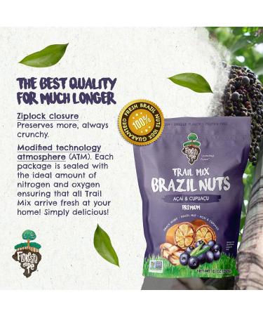 True Organic Brazil Nuts Roasted A ai Fruit Nibs Premium Snack Mix - 10 OZ | Floresta em P - Buy Online on GoSupps.com