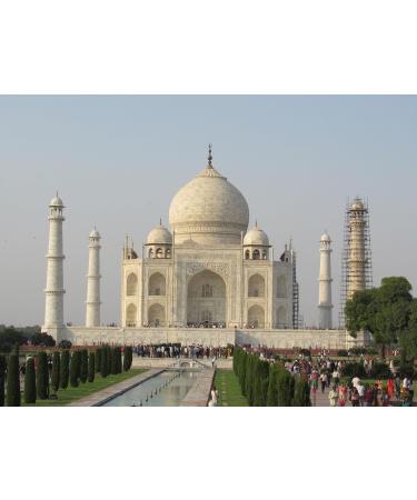  C&T Real Rarities India Balmaadi Coffee Globetrotter 500g (Whole Beans) - Coffee Rarities Premium - Become a Discovery! - Buy Online on GoSupps.com