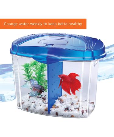 Aqueon Betta Bowl Kit Blue - .5 Gallon | Complete Betta Fish Tank Set - Buy Online on GoSupps.com