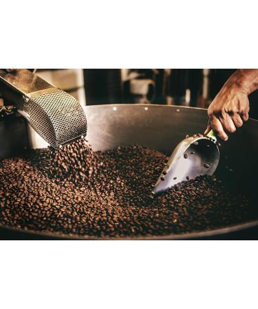 Scott & Co. Mahogany Fairtrade Coffee Beans - Slow Rich Roast | 100% Arabica Whole Beans | 500g - Buy Online on GoSupps.com