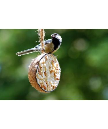 DoBar 10x Coconut Bird Feed - 5 Varieties for All-Year Feeding - 2kg Wild Bird Food in Half Coconut Shells - Buy Online on GoSupps.com