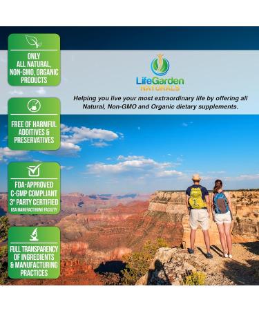 Organic Turmeric Curcumin with BioPerine & 95% Curcuminoids - 120 Non GMO Veggie Capsules by SolaGarden Naturals - Buy Online on GoSupps.com