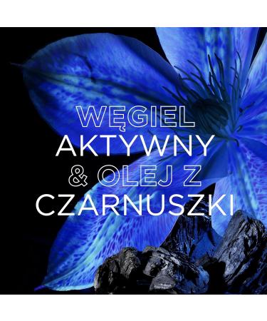 Garnier Botanic Therapy Activated Charcoal & Black Cumin Oil Shampoo 400 ml - Buy Online on GoSupps.com