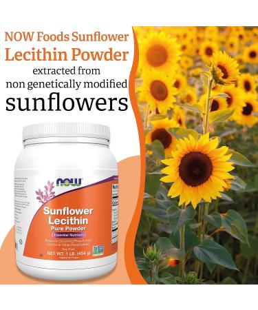 Now Foods Sunflower Lecithin Powder 454g - Lab-Tested, Gluten-Free, Soy-Free, Vegan - Buy Online on GoSupps.com