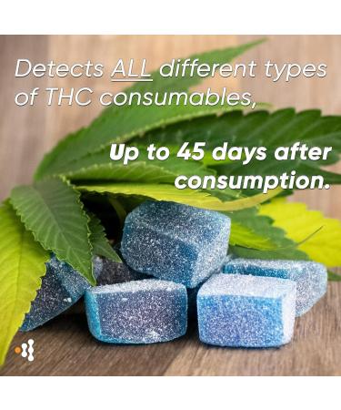 Prime Screen Multi Level Marijuana Urine Test Kit Highly Sensitive THC 5 Level Drug Test Kit Detects at 15 ng mL and 300 ng - pack Of 5 - Buy Online on GoSupps.com