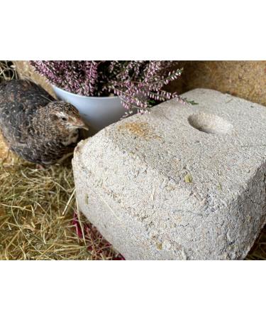 Buy Wachtelglck Gritstein - Premium Grit Stone for Quail Fast International Shipping - Buy Online on GoSupps.com