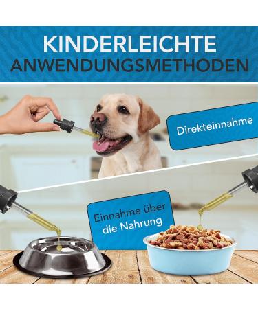 Vitamin B Complex for Dogs 30ml - Premium German Drops | Enhance Dog Health with Vitamin B - Buy Online on GoSupps.com