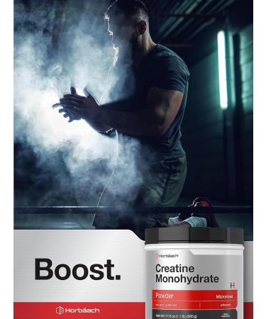 Horb ach Creatine Monohydrate Powder | 17.6oz | Micronized Unflavored Vegetarian Non-GMO Gluten Free | International Shipping Available - Buy Online on GoSupps.com
