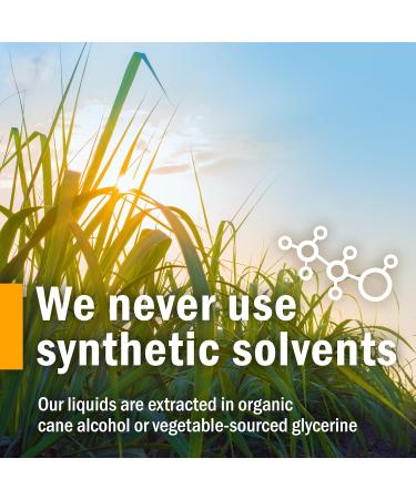 Herb Pharm Yarrow Flowering Tops Liquid Extract - 1 fl oz - Pure and Potent Herbal Supplement - Buy Online on GoSupps.com