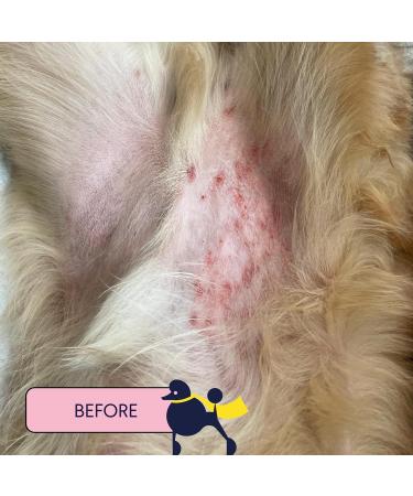 Finn Skin Hero - Revitalizing Natural Dog Skin Balm | Soothes Hot Spots Itching & Irritation | 1.75 oz - International Shipping Available - Buy Online on GoSupps.com