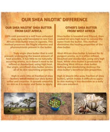 Buy Shea Terra Organics Nilotik Shea Butter Lotion - Fragrance-Free Anti-Aging Cream for Skin Nails & Hair - 16 oz  - Buy Online on GoSupps.com
