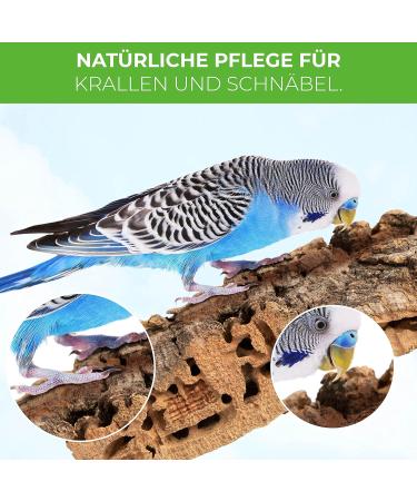 2 x Cork Seating Board for Birds - 10cm x 10cm 100% Natural Cork Fun with Fastening & 2 Nibbles - Perfect for Budgies - Buy Online on GoSupps.com