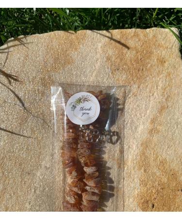 TOPAZ Amber Necklace for Dogs & Cats | Natural Tick & Flea Protection | Handmade 30 cm - Buy Online on GoSupps.com