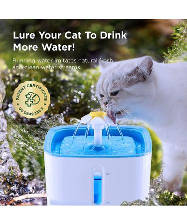 Ciays Cat Water Fountain 2.5L - 3 Filters - Blue | Automatic Pet Drinking Fountain - Dogs, Cats, Multiple Pets - Buy Online on GoSupps.com