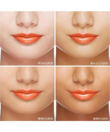  PRIOR PRIOR Priaulx Beauty Lip Lift CC N Apricot 4 g - Buy Online on GoSupps.com